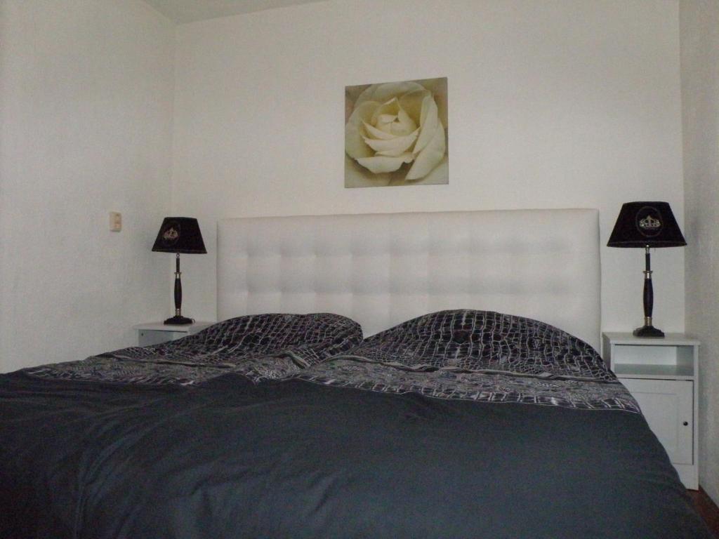 Apartment Seastar Zandvoort Phòng bức ảnh